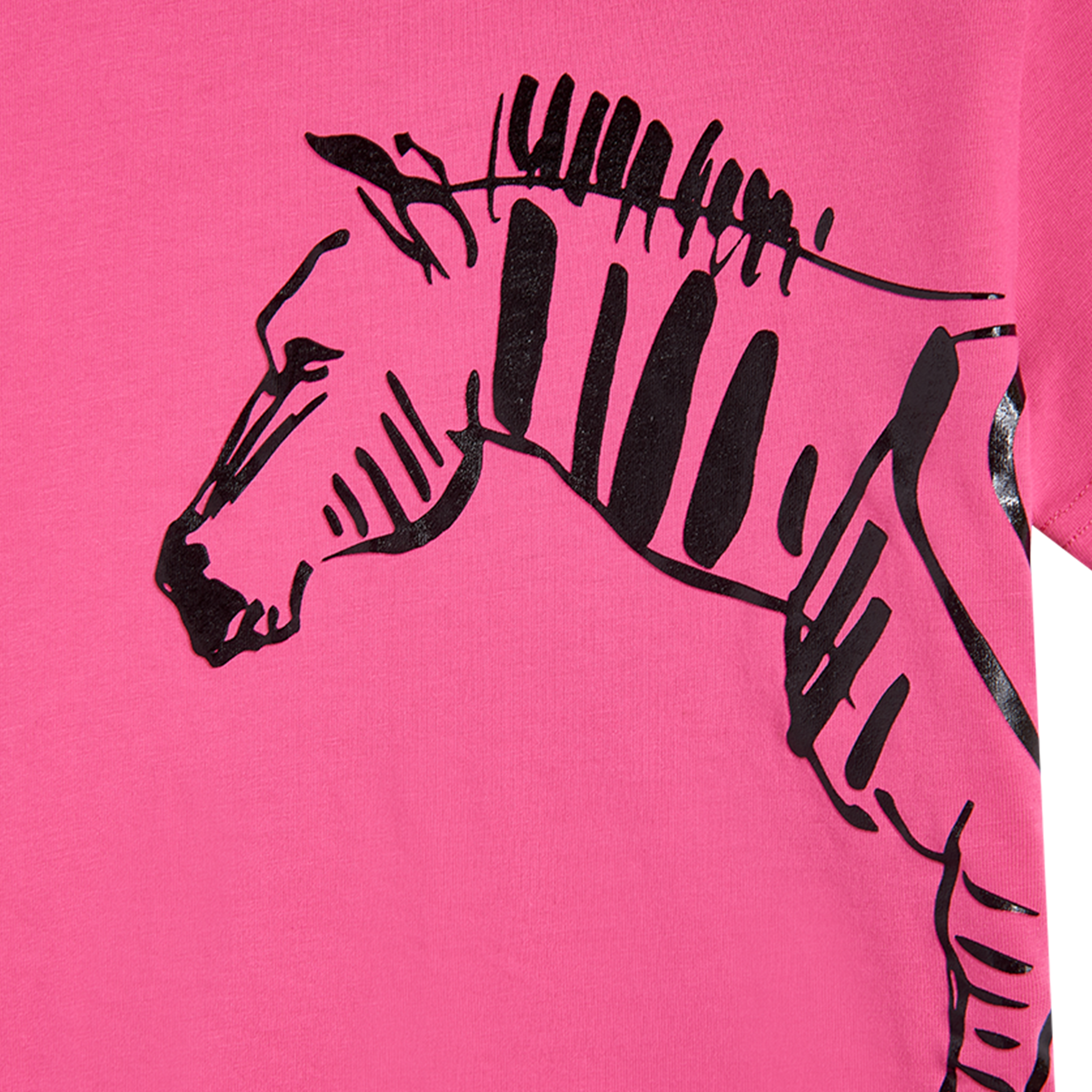 Calder “Zebra” Kid’s T-shirt