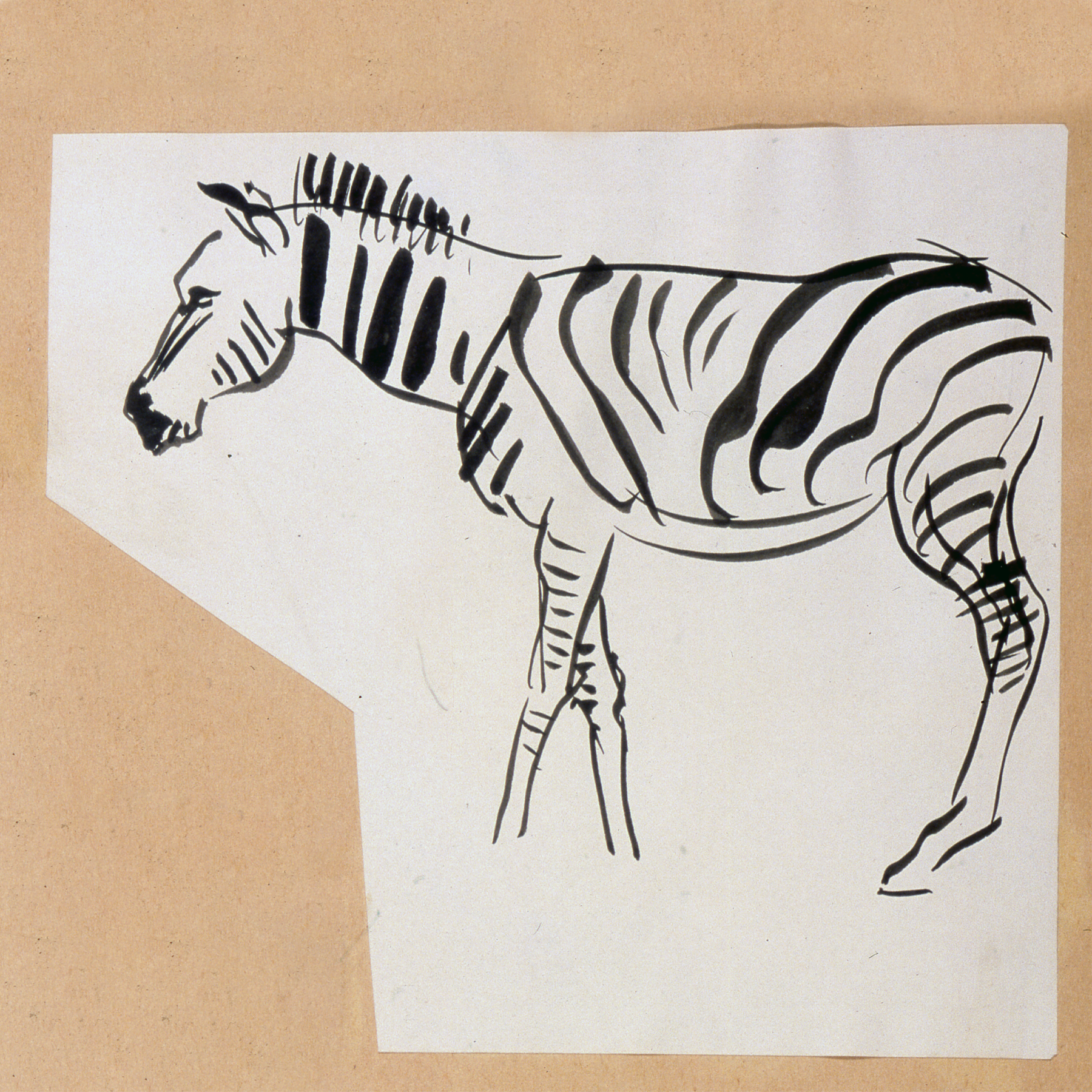 Calder “Zebra” Kid’s T-shirt